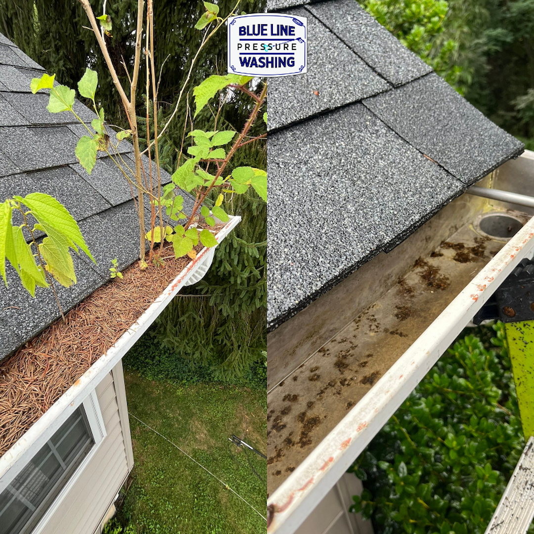 From Gutter Jungle to Flowing Free – Martinsburg Gutter Cleaning Success