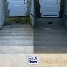 Revitalize-Your-Home-with-Expert-House-Washing-and-Concrete-Cleaning 1